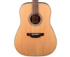 Takamine GD20-NS Akustik Gitar (KILIF+ASKI+PENA)
