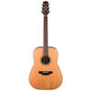 Takamine GD20-NS Akustik Gitar (KILIF+ASKI+PENA)