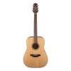 Takamine GD20-NS Akustik Gitar (KILIF+ASKI+PENA)