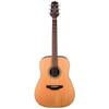 Takamine GD20-NS Akustik Gitar (KILIF+ASKI+PENA)