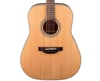 Takamine GD20-NS Akustik Gitar (KILIF+ASKI+PENA)