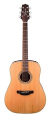 Takamine GD20-NS Akustik Gitar (KILIF+ASKI+PENA)