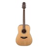 Takamine GD20-NS Akustik Gitar (KILIF+ASKI+PENA)