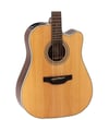 Takamine GD20CE-NS TP4-TD Elektro Akustik Gitar (KILIF+ASKI+JAK+PENA)