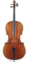 VANETTA WN-19 4/4 Mat Çello