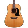 Washburn AD5 Apprentice 5 Serisi Naturel Akustik Gitar