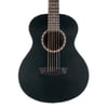 Washburn AGM5BMK Apprentice G-Mini 5 Akustik Gitar