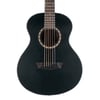 Washburn AGM5BMK Apprentice G-Mini 5 Akustik Gitar