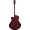 Washburn Deep Forest Burl Ace Amber Fade Elektro Akustik Gitar