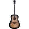 Washburn Deep Forest Burl Black Fade Akustik Gitar