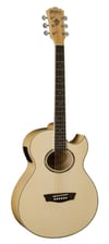 Washburn EA20 Elektro Akustik Gitar