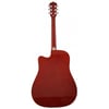 Washburn WA90CRDB Akustik Gitar