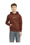  Erkek Çocuk Kapüşonlu Sweatshirt
