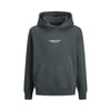  Erkek Çocuk Kapüşonlu Sweatshirt