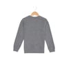 Baskılı Bisiklet Yaka Erkek Çocuk Sweatshirt