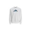 Bisiklet Yaka Erkek Sweat 
