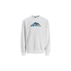 Bisiklet Yaka Erkek Sweat 