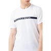 Bisiklet Yaka Erkek T-shirt