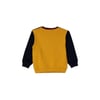 Çok Renkli Erkek Çocuk Sweatshirt