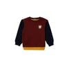 Çok Renkli Erkek Çocuk Sweatshirt