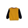 Çok Renkli Erkek Çocuk Sweatshirt