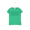 Düz Erkek Çocuk T-shirt 