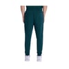 Erkek Authentic Franz Pant Petrol Yeşili Regular Fit Eşofman Altı
