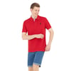 Erkek Basic Polo Yaka Tişört