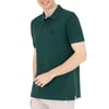 Erkek Basic Polo Yaka Tişört