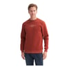 Erkek Bisiklet Yaka Sweatshirt CAZ.53315