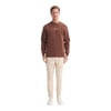 Erkek Bisiklet Yaka Sweatshirt CAZ.53315
