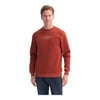 Erkek Bisiklet Yaka Sweatshirt CAZ.53315