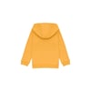 Erkek Çocuk Kapüşonlu Sweatshirt 1456261