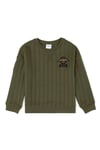 Erkek Çocuk Sweatshirt 