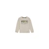 Erkek Çocuk Sweatshirt