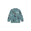 Erkek Çocuk Sweatshirt 13228606