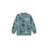 Erkek Çocuk Sweatshirt 13228606