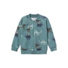 Erkek Çocuk Sweatshirt 13228606