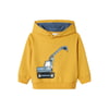 Erkek Çocuk Sweatshirt 13233677
