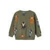 Erkek Çocuk Sweatshirt 13233714
