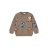 Erkek Çocuk Sweatshirt 13233714