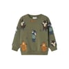 Erkek Çocuk Sweatshirt 13233714