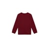 Erkek Çocuk Sweatshirt 1456515