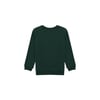 Erkek Çocuk Sweatshirt 1456515