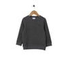 Erkek Çocuk Sweatshirt 1456552