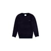 Erkek Çocuk Sweatshirt 1456552