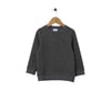 Erkek Çocuk Sweatshirt 1456552