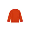 Erkek Çocuk Sweatshirt 1668037