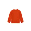 Erkek Çocuk Sweatshirt 1668037