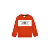 Erkek Çocuk Sweatshirt 1668037